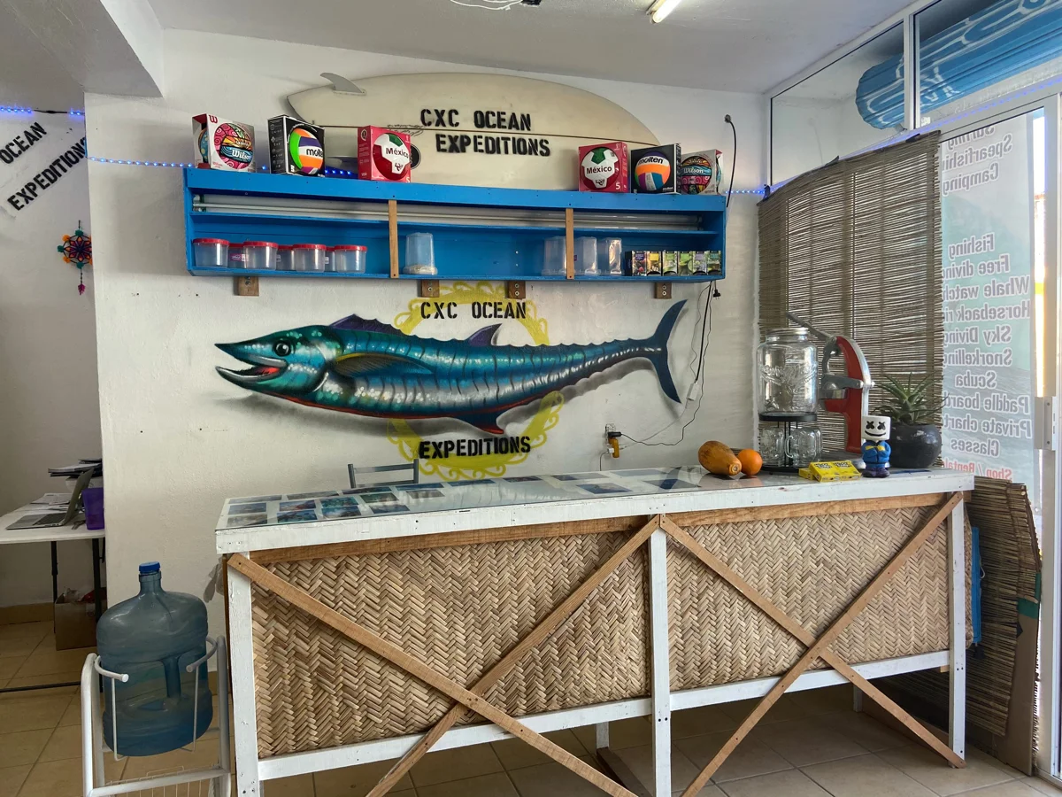 Foto 5