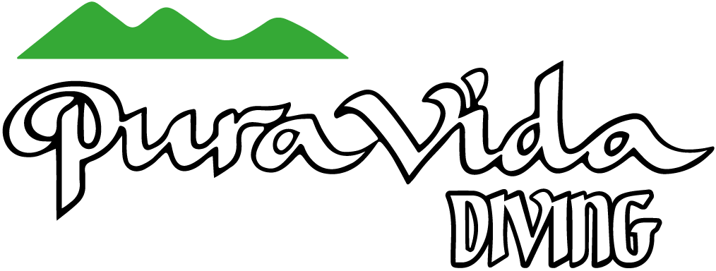 Pura Vida Diving Lanzarote logo