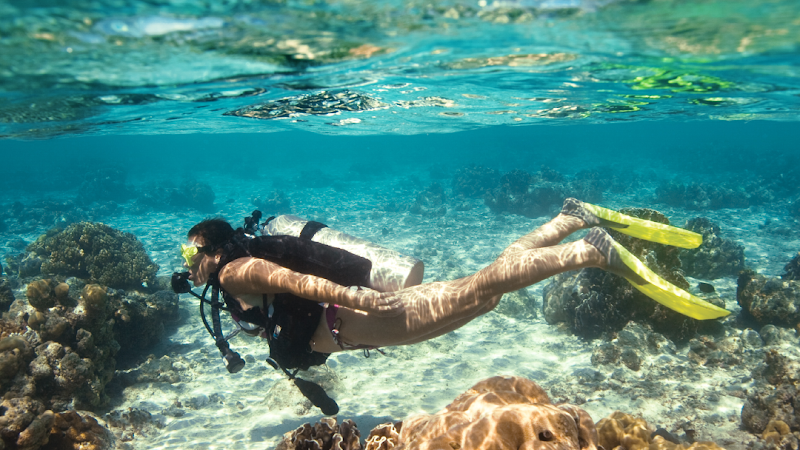 Scuba Diving In Miami - Squalo Divers