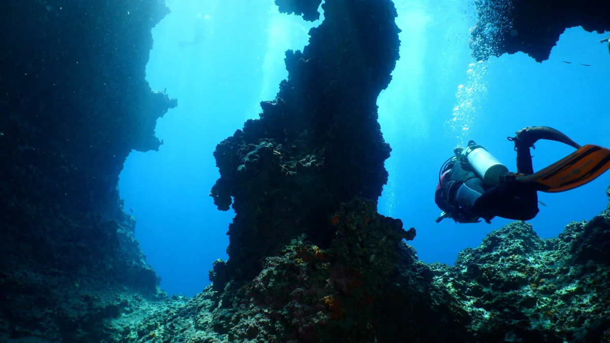 World of Diving
