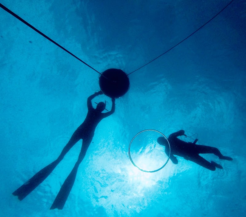 Apnea La Caretta - Medes Freedivers logo