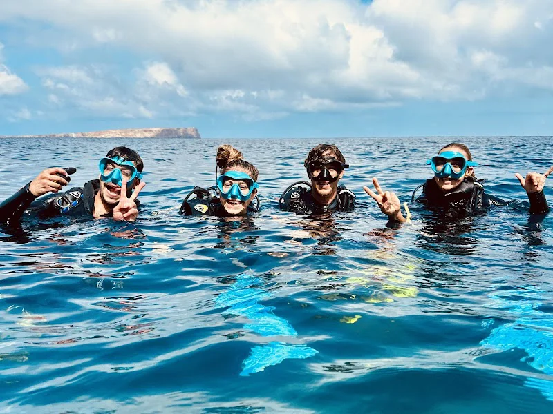 Nautilus Diving Fornells - Centro de Buceo y Apnea en Menorca logo