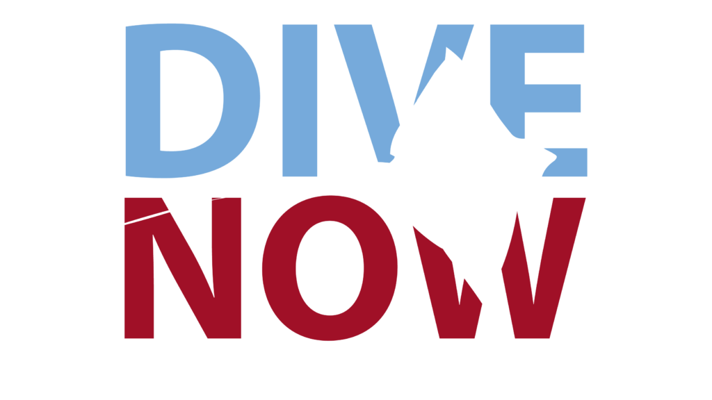 JUST DIVE NOW! logo