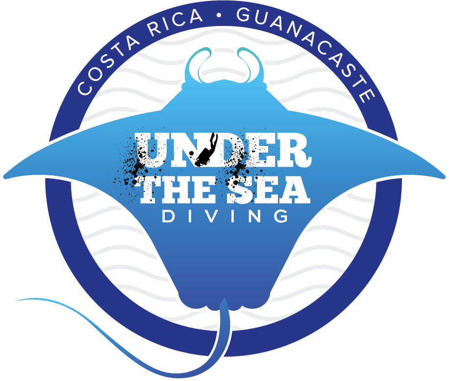 Under The Sea Diving logo