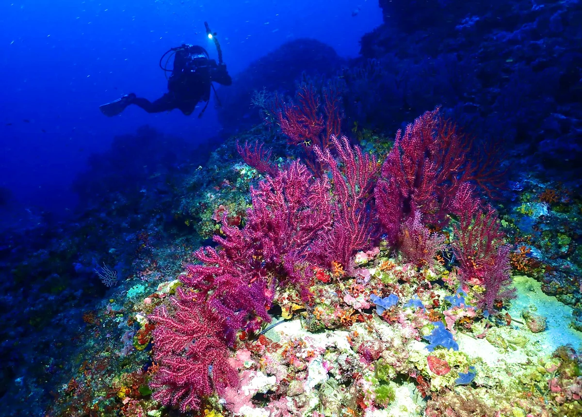 Foto 8