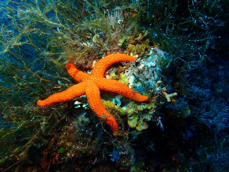 Foto 2
