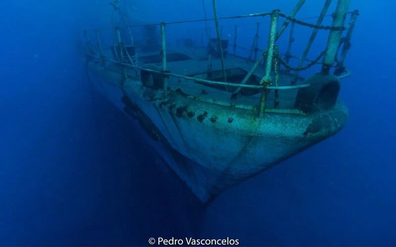 Foto 10