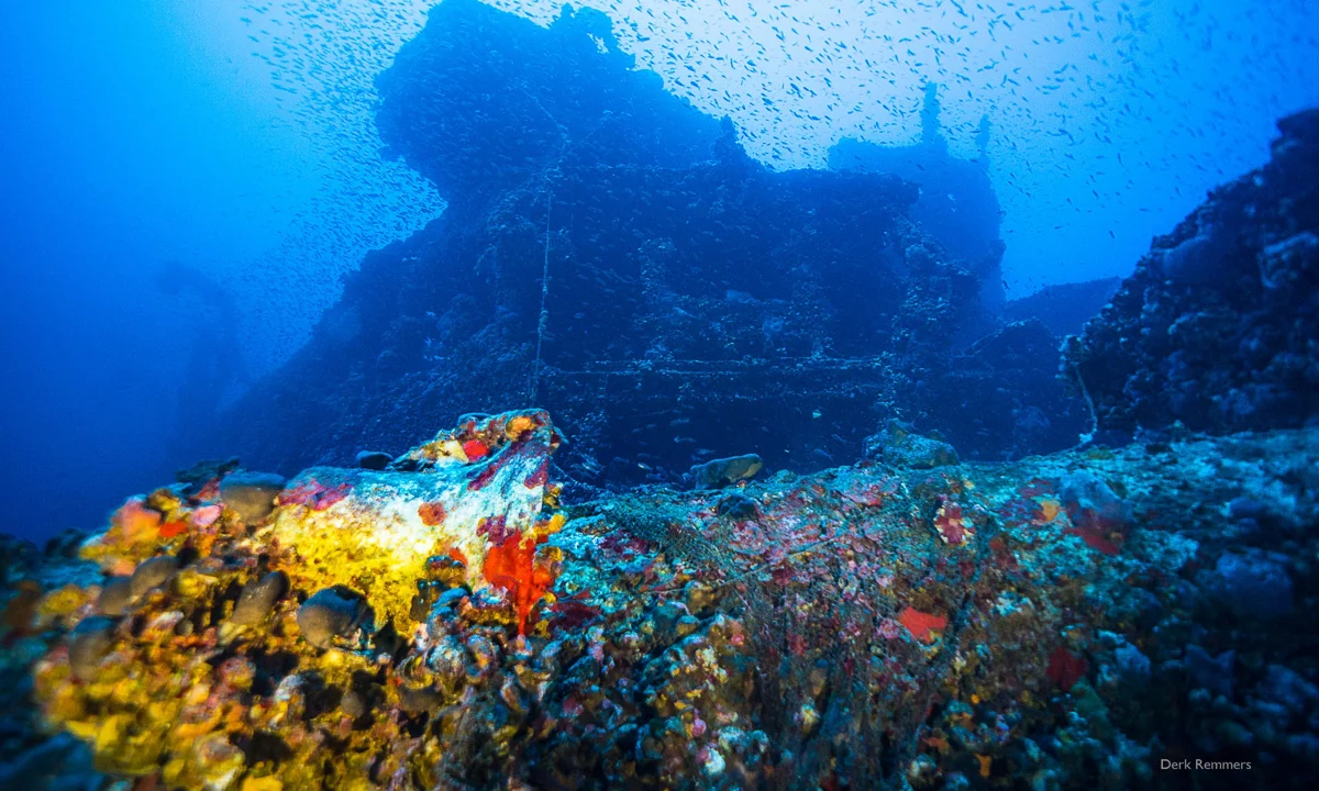 Foto 5