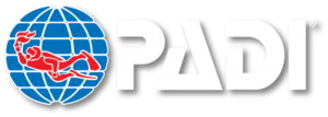 LETs Dive logo