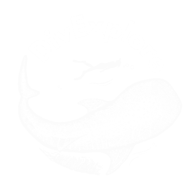 Divexplore logo