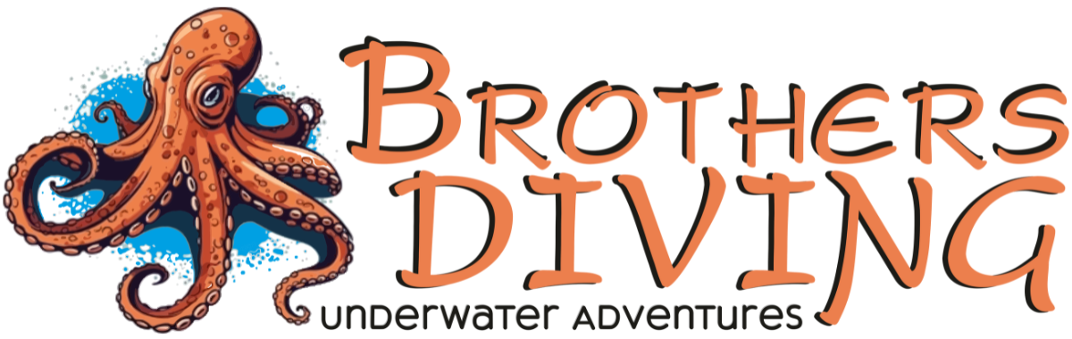 Brothers Diving logo