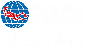 World Diving Lembongan logo