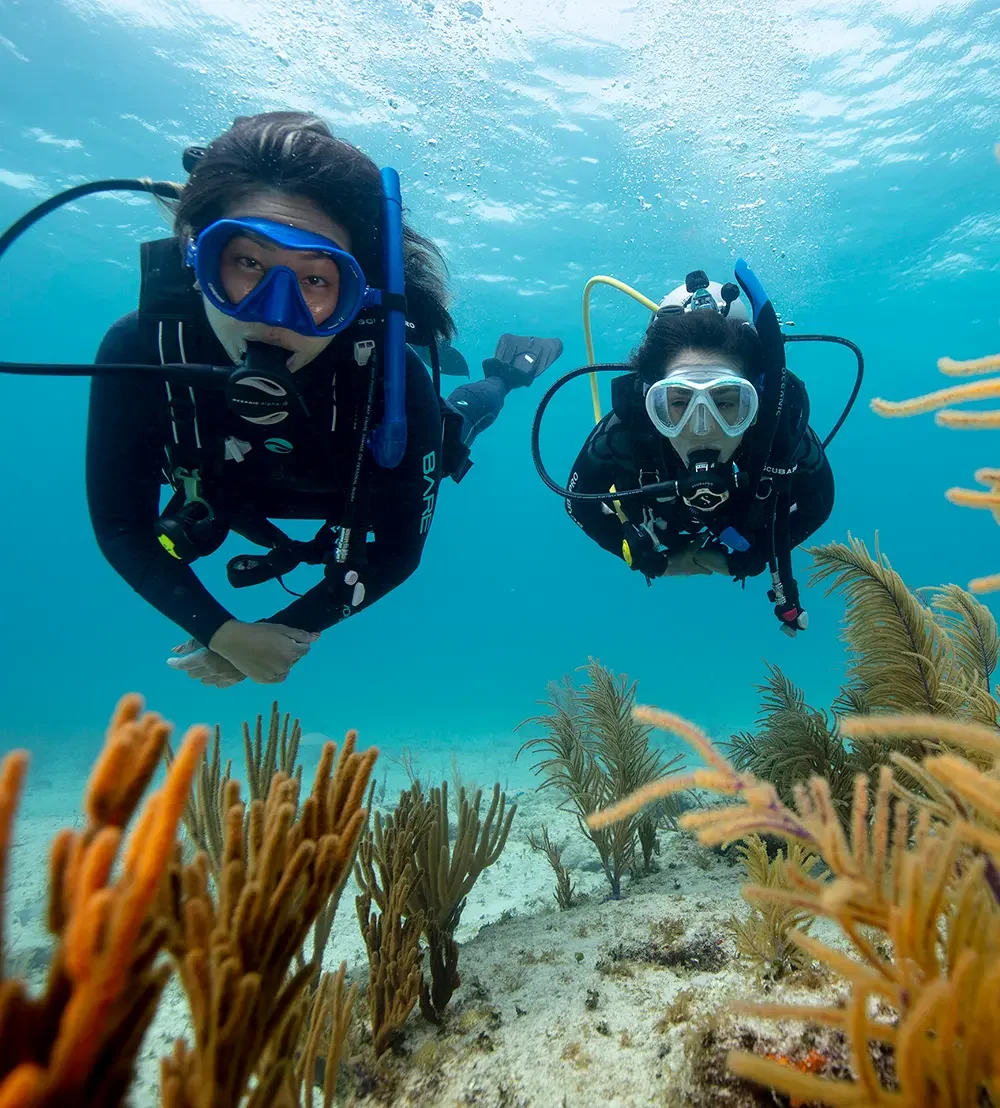 Dive Center Portobelo, S.A.