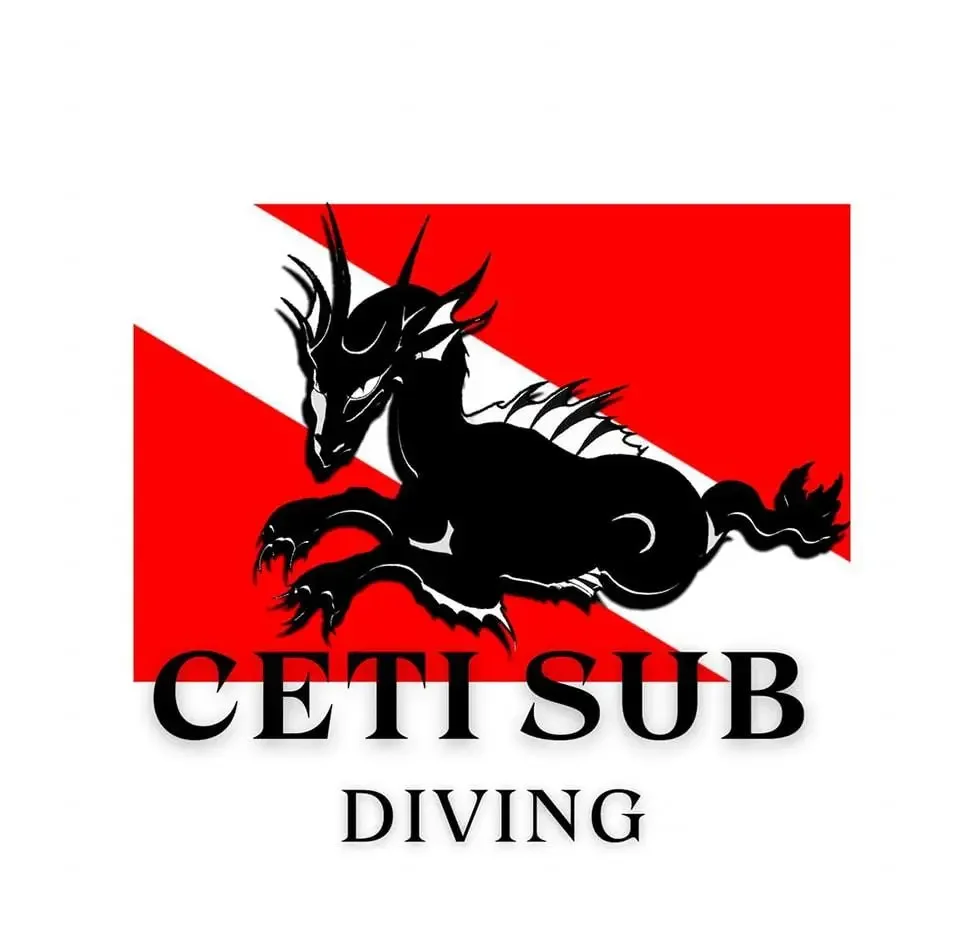 Ceti Sub logo