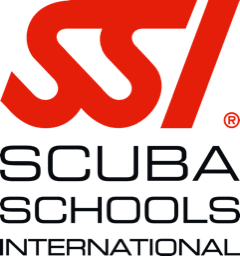 DiveSenses logo