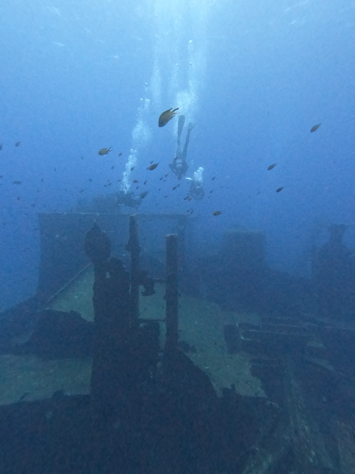 Curso de Instructor (IDC)