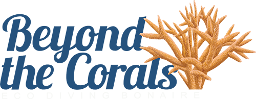 Beyond the Corals logo