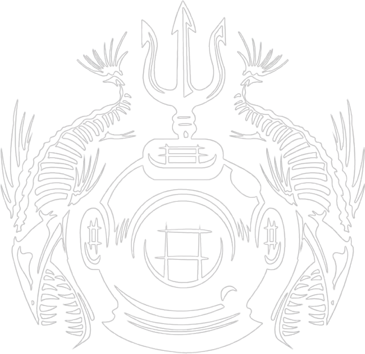 ECOSCUBA logo