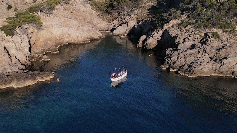 SCUBANEO Diving & Instructor Training Center logo