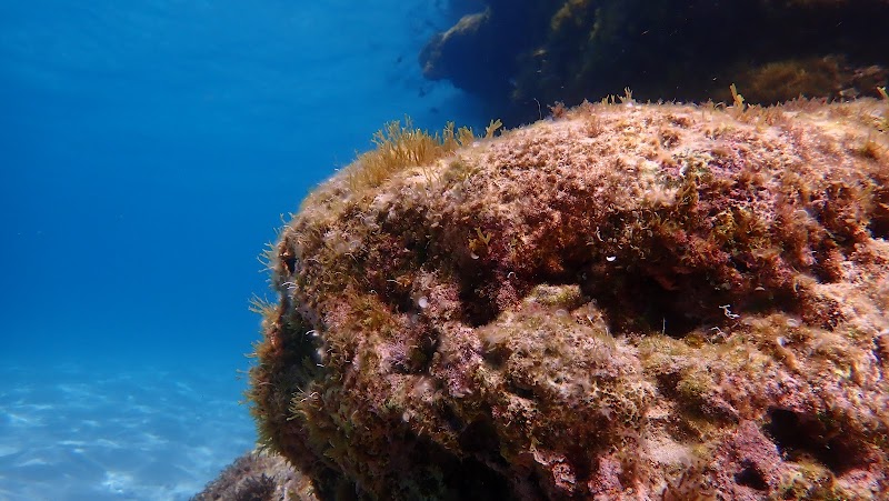 Acqua Life Dive Center