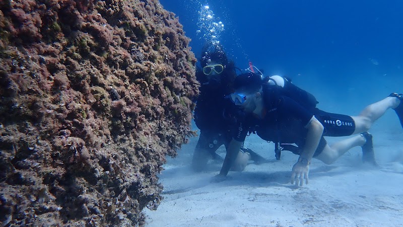 Acqua Life Dive Center logo