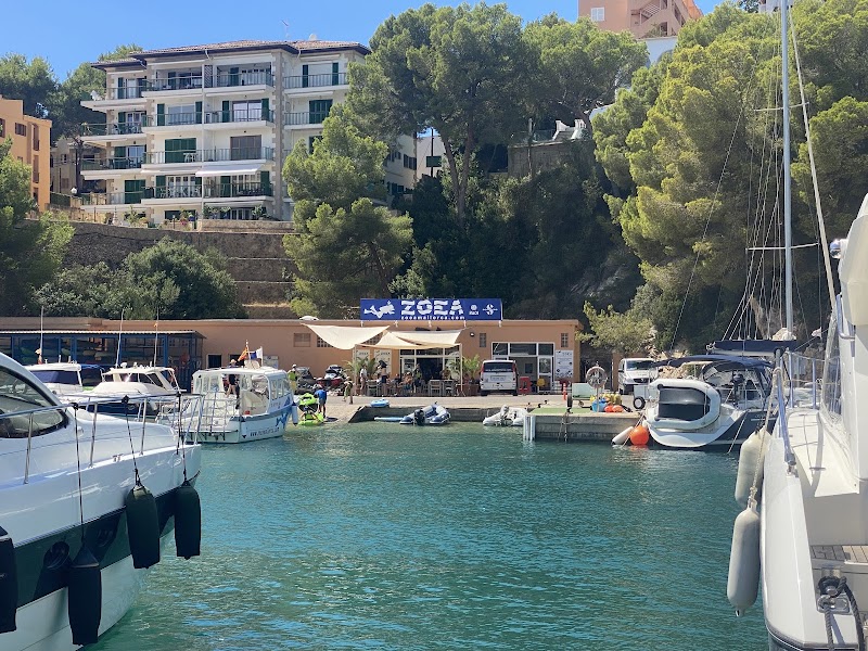 ZOEA Mallorca | Scuba Diving Center