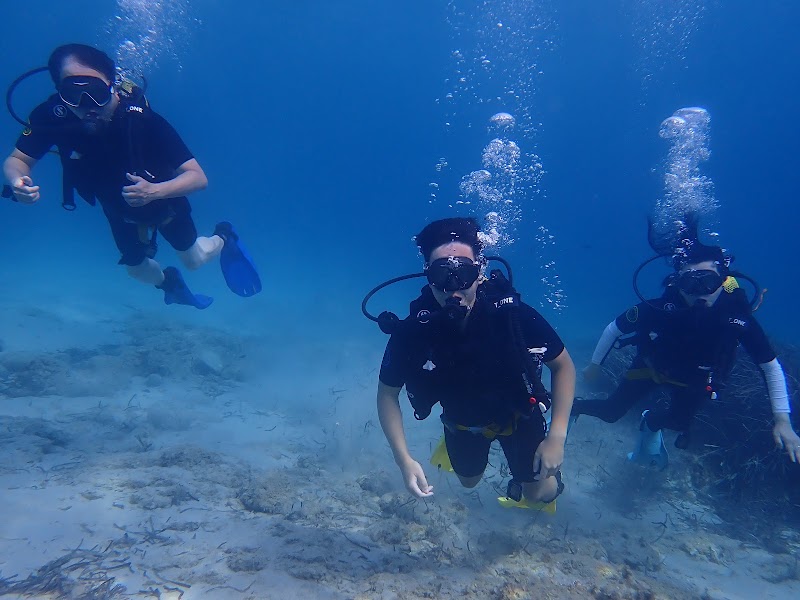 ZOEA Mallorca | Scuba Diving Center logo