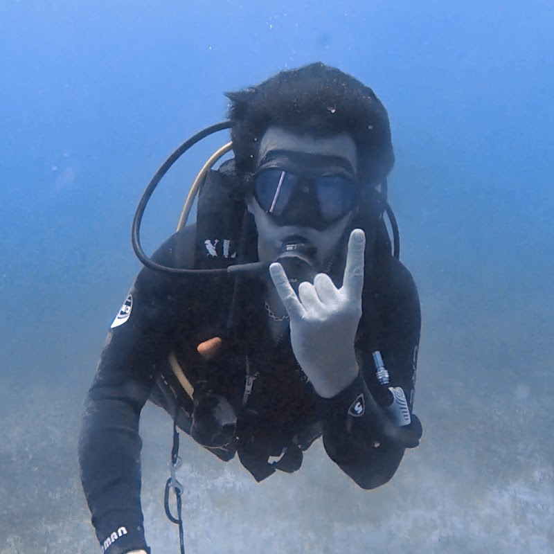 GO DIVING center logo