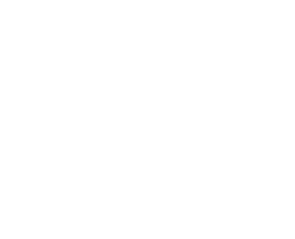 Dive For Fun logo