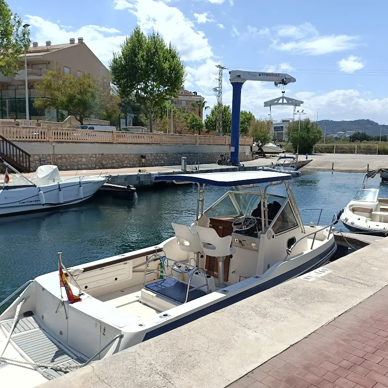 Foto 4