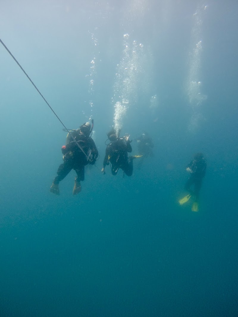 Nautico Diving Center logo