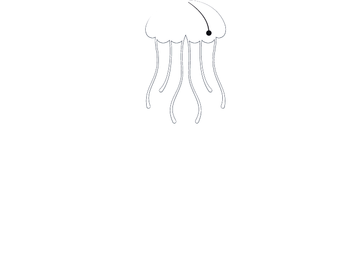 Sandalia Diving Center & Snorkeling logo
