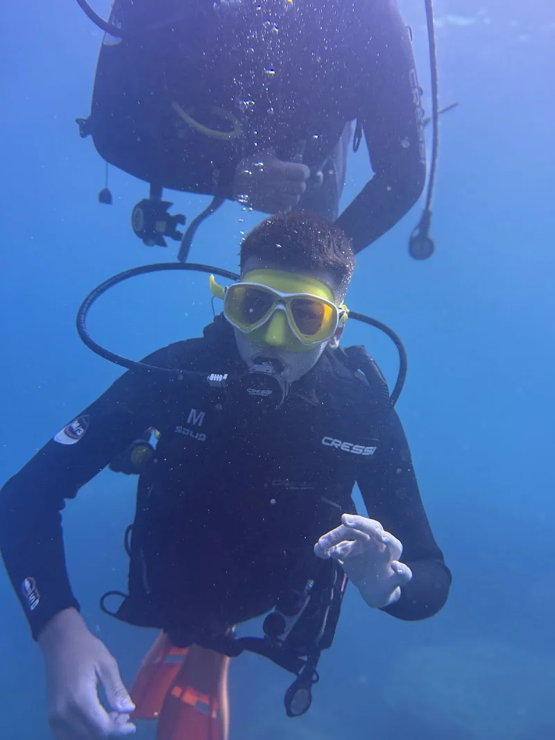 Open Water Diving Center La Herradura logo