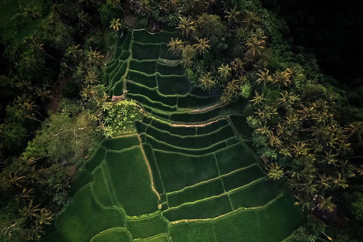 Фото 4