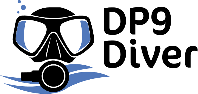 DP9 SARLS logo