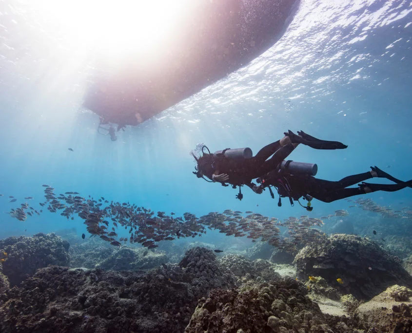 Black Frog Divers