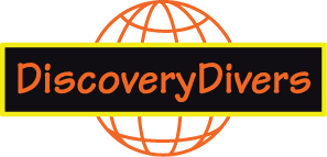 Discovery Divers logo