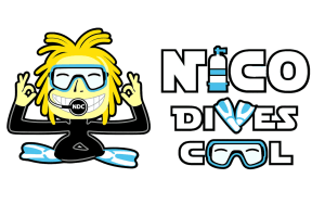 Nico Dives Cool logo