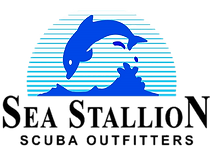 Sea Stallion Scuba Outfitters logo