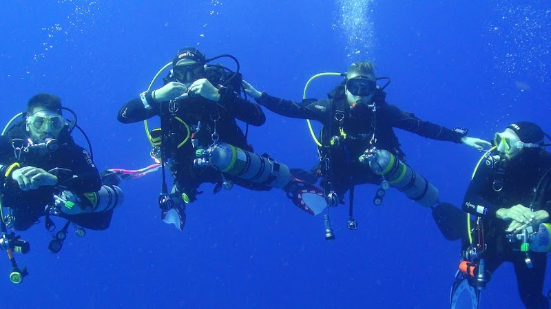 Blue Bottom Diving logo