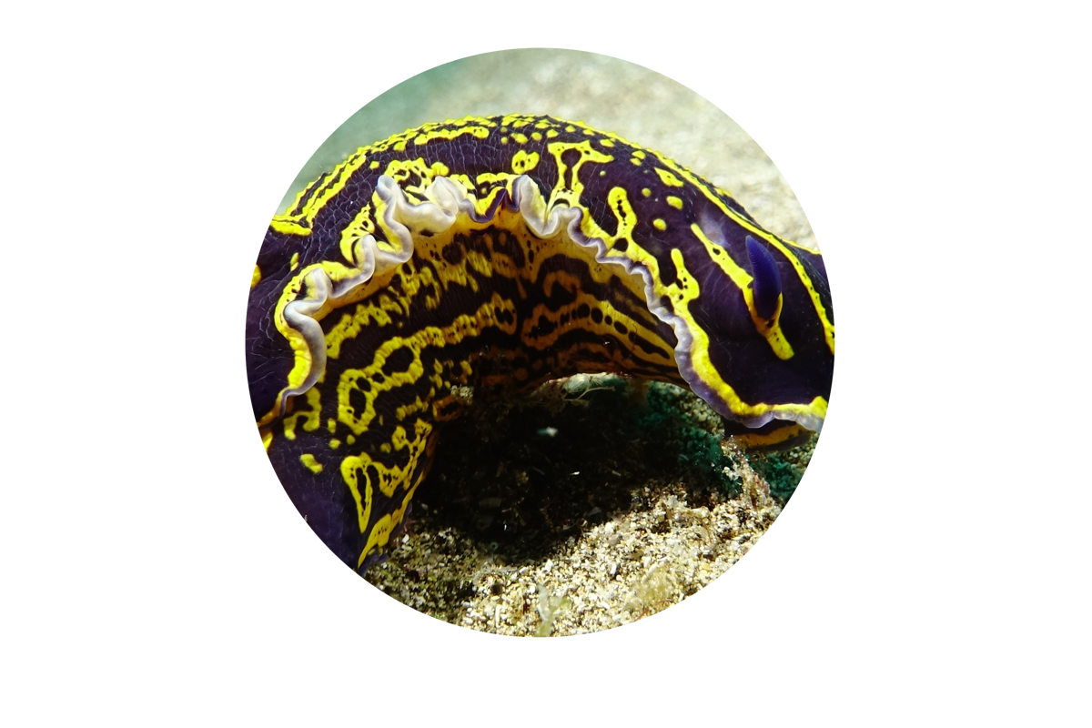 Фото 6