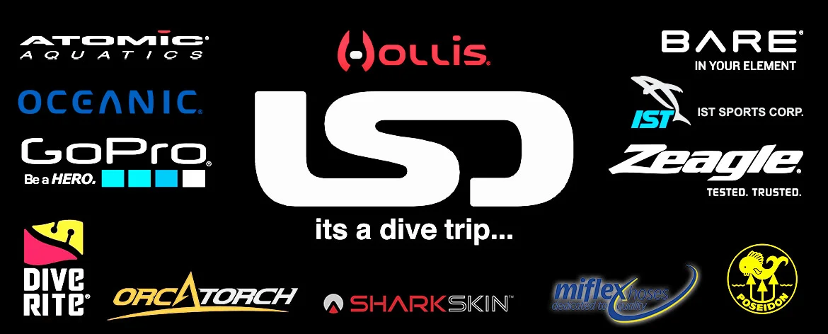 London School of Diving logo