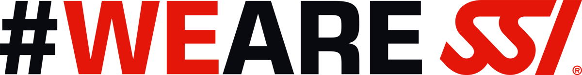 DIVE 48, S.A. DE C.V. logo