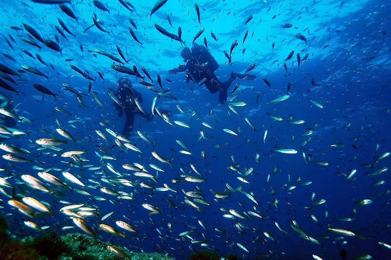 Planeta Azul Buceo y Naturaleza logo