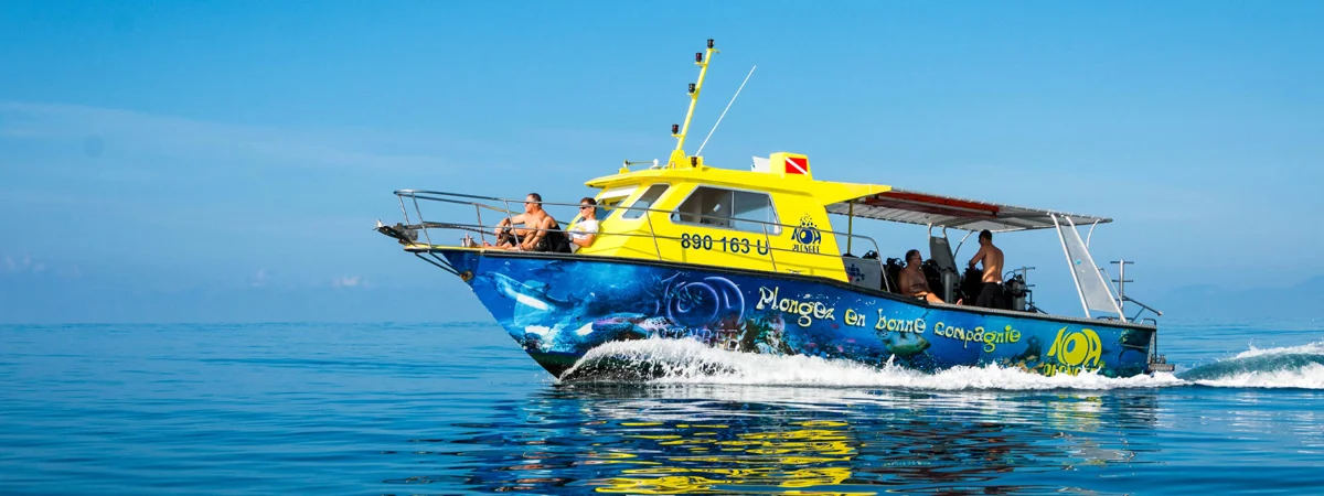 Submarinisme amb ordinador