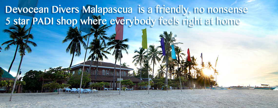 Discover Scuba Diving