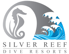 Dauin Silver Reef Dive Resort Inc. logo
