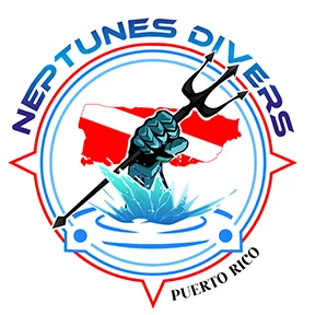 Neptunes Divers Inc logo