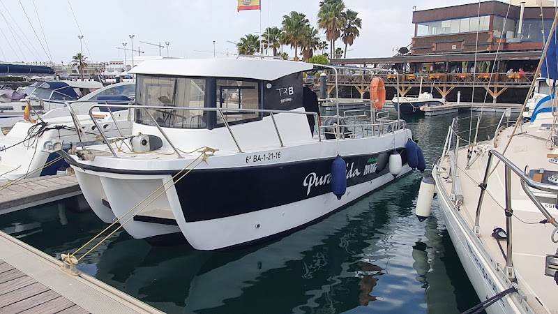 Pura Vida Diving Lanzarote logo