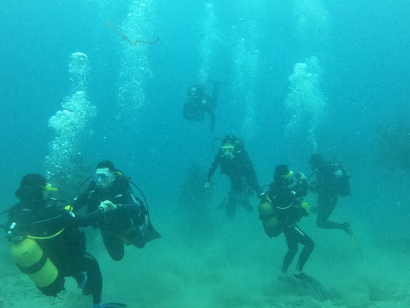 Dive College Lanzarote